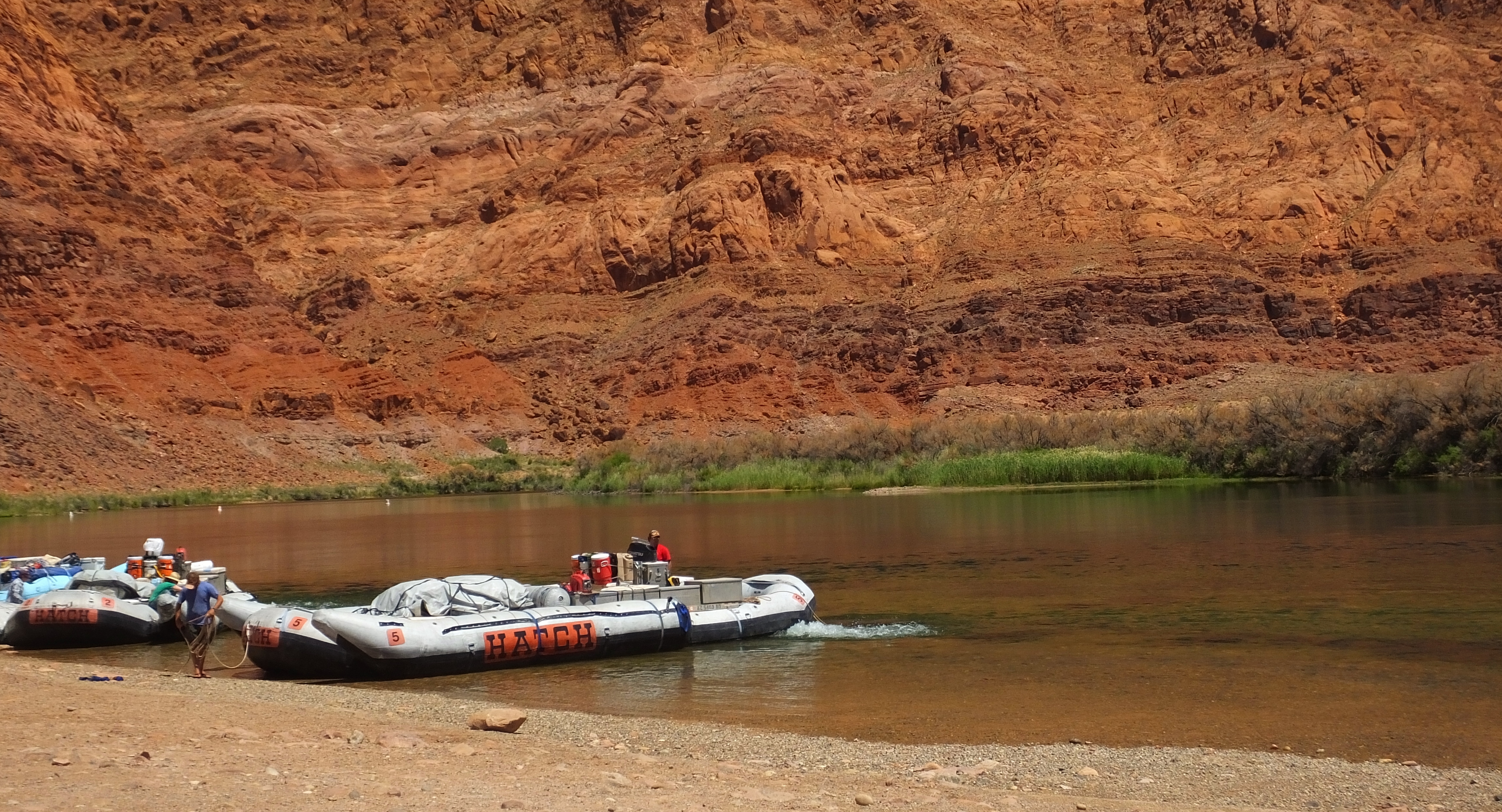 File:Fly Fisher On The Colorado River At Lee's Ferry, AZ.jpg